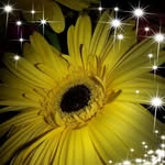 Marcy Ryan - @marcyryanexp - Instagram