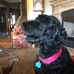 Marci Sherman - Facebook