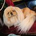 Marcia Sherman - Facebook