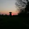 marcusneid - @marcusneid - TikTok