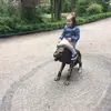 marcinspringer - @marcinspringer - TikTok