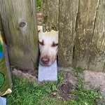 Marcy Swanson - @itsmarcydawg - Instagram