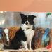 Marcia Terry - Facebook