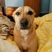 Marci VanOveren - Facebook