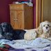 Marci-Greg Wall - Facebook