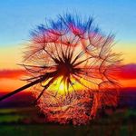 Marci Waller Coryell - @marcicoryell - Instagram