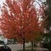 Marci Weaver - Facebook