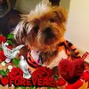 Marci Weber - @chickalee - TikTok