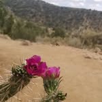 Marci Weber - @marcelaweberphd - Instagram