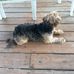 Marcia Wolf - Facebook