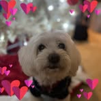 Marci Young - Facebook