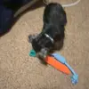 Marciabrams_ - @marciabrams_ - TikTok