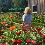 Marsha bates - @marshabates9503 - Instagram