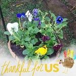 Marcia Bauer - @marcia.bauer.984 - Instagram