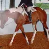 Marcia E Baxter - @marcia.e.baxter - TikTok