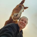 Marcia Becker 🐶 🐾🐴 - @marciabcker - Instagram