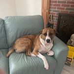 Marcia Kimball - @birdladymarcia - Instagram