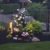 Marci Bourque - Facebook