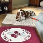 Marcia Bower Power - @marshbowwow - Instagram