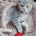 Marcia Bowers - Facebook