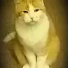 marciabowers93 - @marciabowers93 - TikTok
