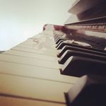 Marcia Breen - @marcia_photography04 - Instagram