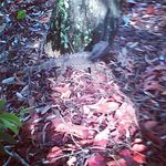 Marcia Breen - @meb2671 - Instagram