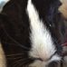 Marcia Burgett Buchanan - Facebook