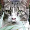Marcia Burrowes - @marcia.burrowes - TikTok