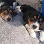Marcia Carpenter Sudduth - @marciasudduth - Instagram