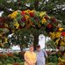 Marcia McGraw Chase - Facebook