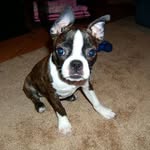 Marsha Cheney - @mkcljeg - Instagram