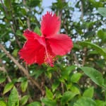 Marsha Thompson-Cheney - @thompsoncheney - Instagram