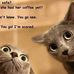 Marcia Cooke - Facebook