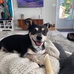 Marcia Cooley Bouchard - @bouchardmarcia - Instagram