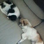 Marsha Cooley - @mrscountryangel - Instagram