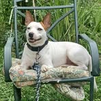 Marcie Cornwell - Facebook