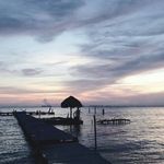 Marcia Cramer - @cramer.marcia - Instagram