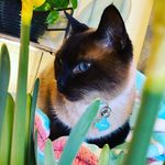 Marcia Crow - @montanamarsh406 - Instagram