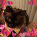 Marcia Denham - Facebook