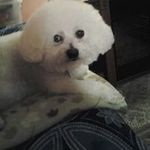 Marcia Dennison - @marcia.dennison.9 - Instagram