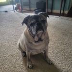 Marsha Bost Dotson - @medots17 - Instagram