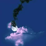 Marcia Dunn - @marcia.dunn.355 - Instagram