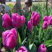 Marcia Durham - Facebook
