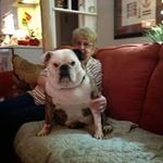 Marcia Eddy - @marciaeddy2 - Instagram