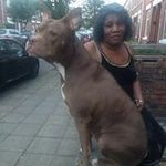 Marcia Ellison - @marcia.ellison1 - Instagram