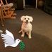 Marcia Ellison - Facebook