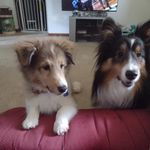 Marcia Englebert - @marciaenglebert - Instagram