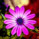 Márcia Eugênio - @marcia.eugenio.12 - Instagram
