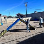 Marcia Ferrell - @mef500 - Instagram